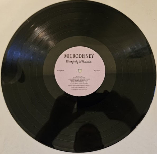 תמונה ממוזערת: Microdisney - Everybody Is Fantastic (LP, Album) (Rough Trade)