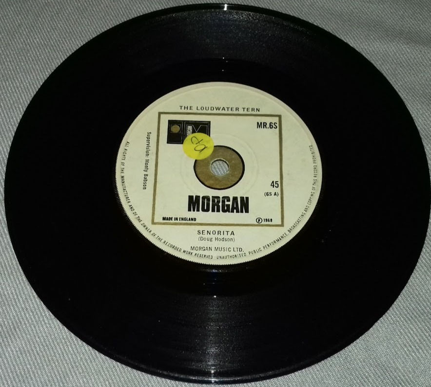 The Loudwater Tern* - Senorita (7") (Morgan (2))