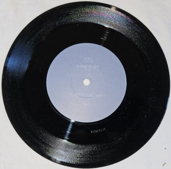 サムネイル： El Perro Del Mar - Dog (7", Single) (Memphis Industries)