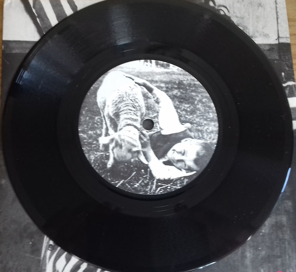 Miniature : Maximum Joy - Stretch (7", Single) (Y Records, Y Records)