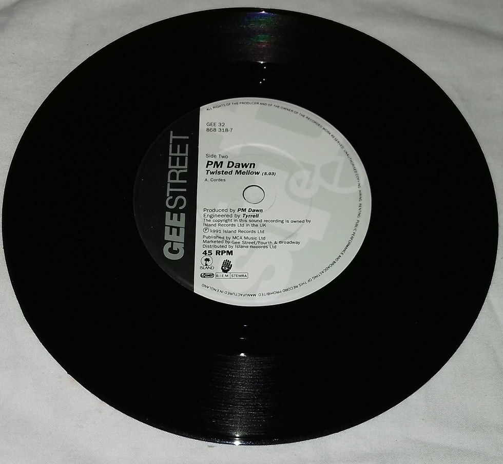 Miniature : PM Dawn* - A Watcher's Point Of View (Don't Cha Think) (7", Single) (Gee Street)