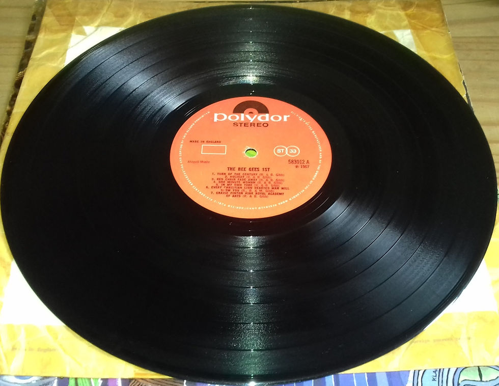 ภาพขนาดย่อ: Bee Gees - The Bee Gees 1st (LP, Album) (Polydor)