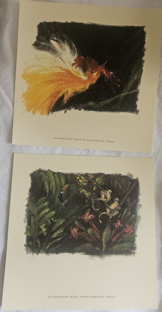 תמונה ממוזערת: Fleetwood Mac - Family Man (7", Single, Ltd, Sil + Box) (Warner Bros. Records, W