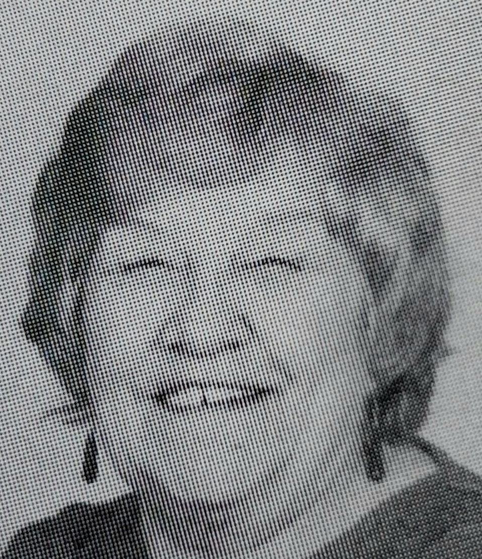 Stella Fogg