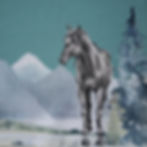 Kinder Pullover Pferd Bio Baumwolle