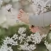BLOOM — Every season, covered (6 months)