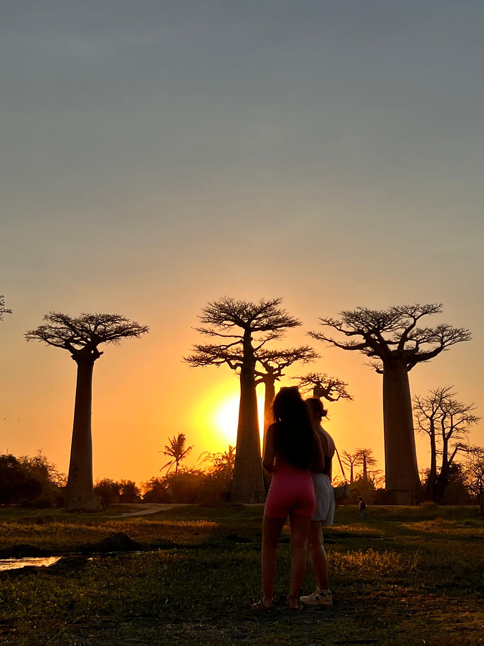🌍 Madagascar Private Tour in 10 Days: 5 High-Quality Madagascar Itinerary Ideas for an Unforgettable Journey