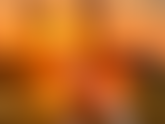 Luxury Tours in Madagascar: Explore Nature and Culture