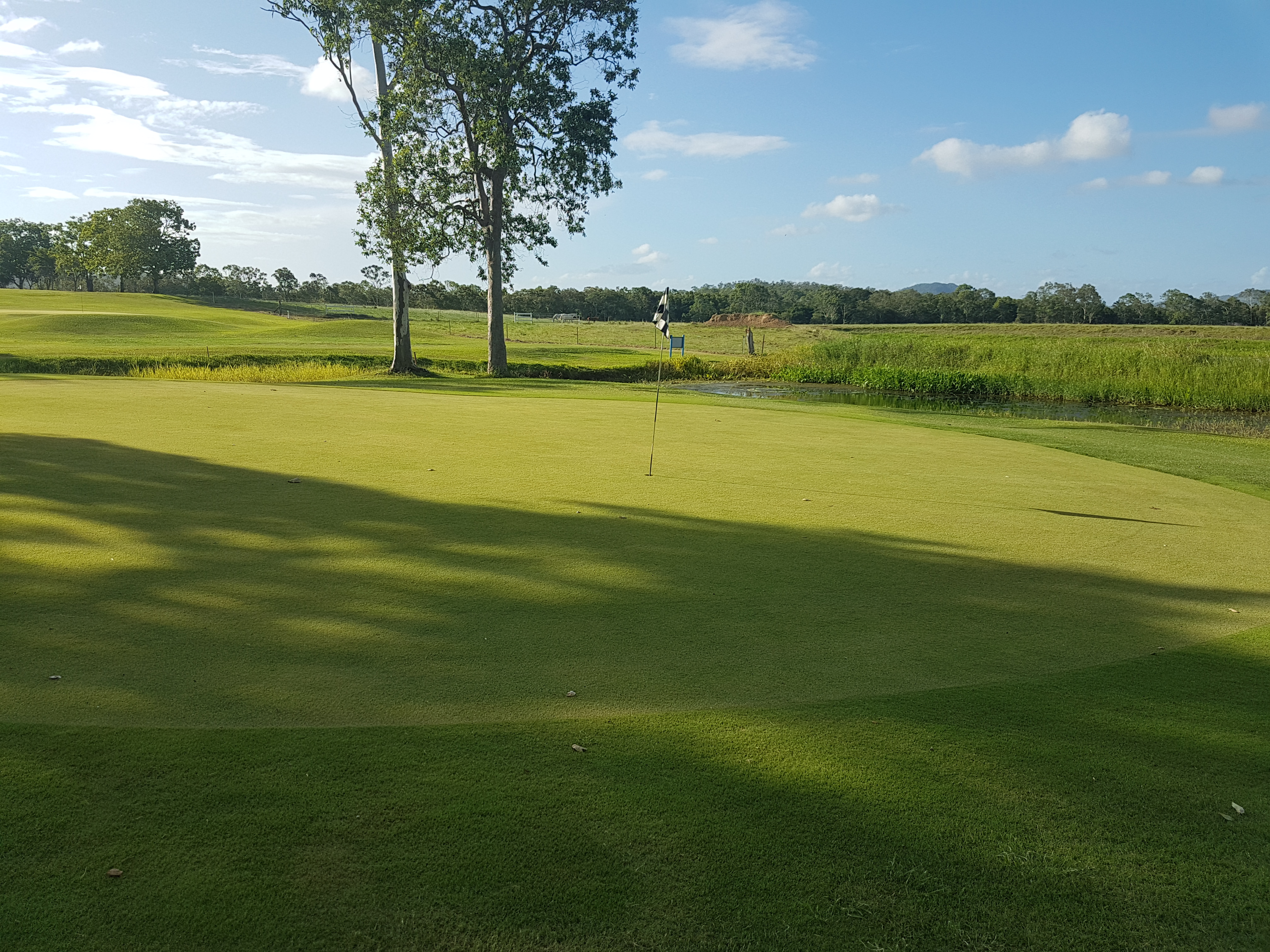 #3 Green