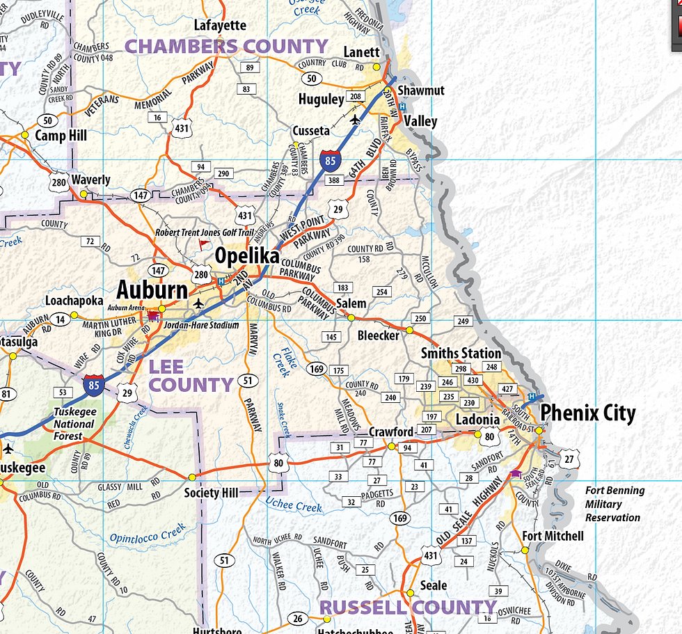 Thumbnail: Alabama Laminated Wall Map