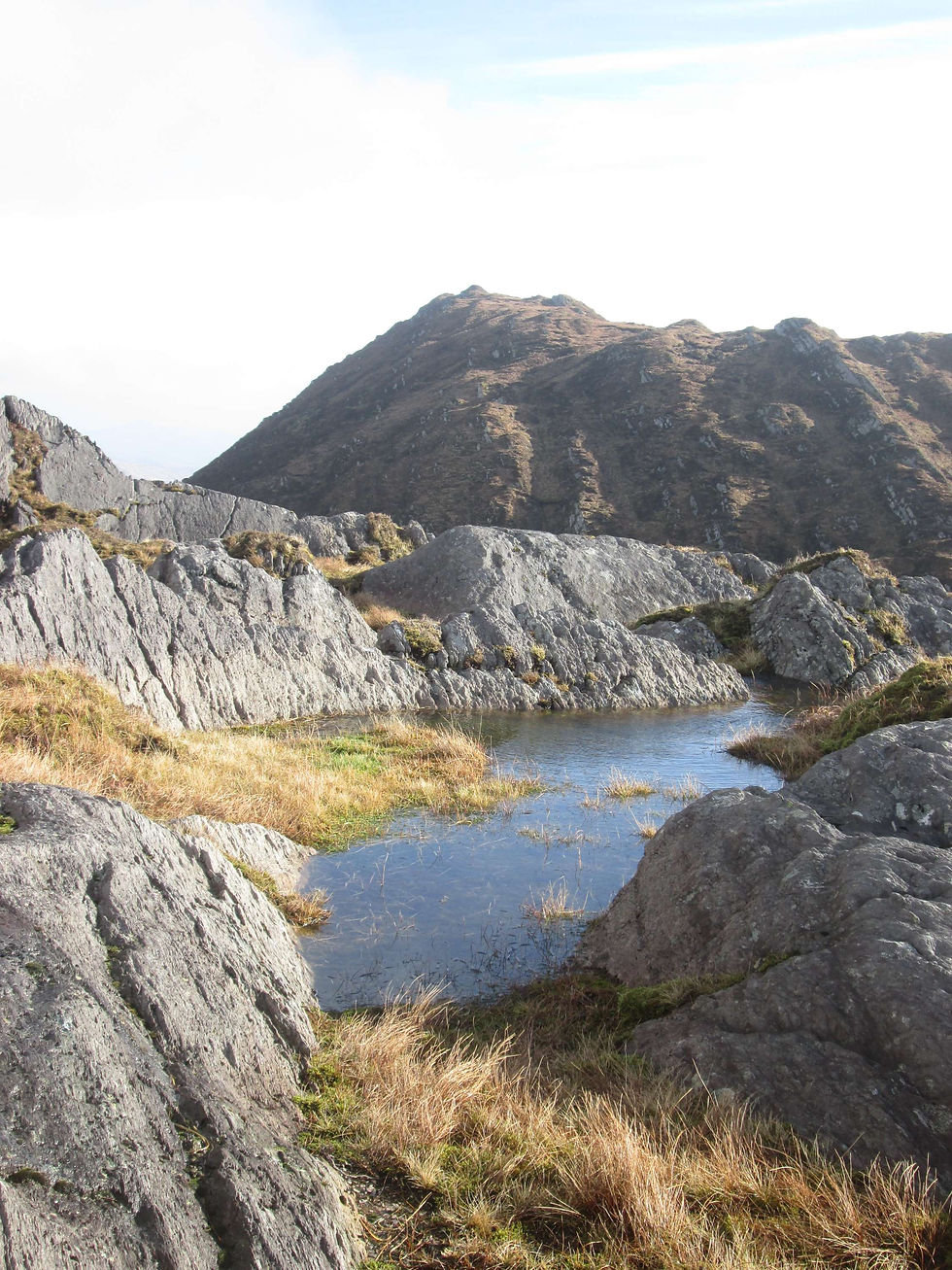 Sugarloaf, Caha Mountains, Cork