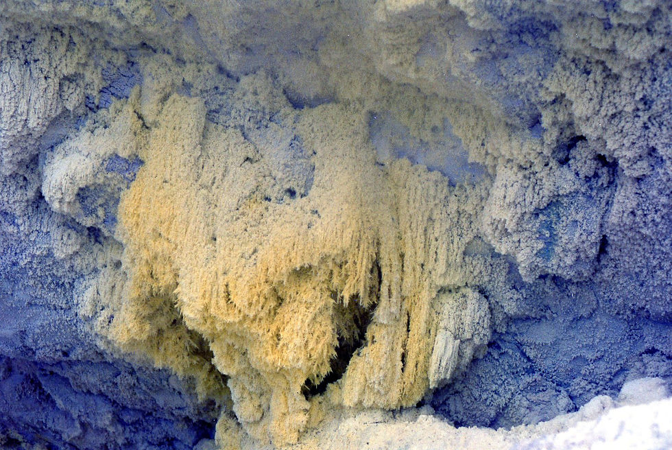 Sulphur Cave, Waiotapu, New Zealand