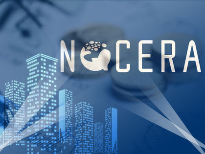 Nocera Secures up to $300 Million Private Placement to Support Digital Asset Strategy and Strategic Acquisitionsz