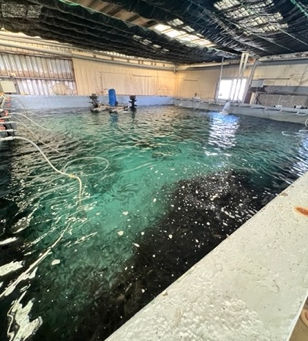 Nocera Takes Strides in Alabama Fish Farm and Expands its Aquaculture Initiatives in Asian Markets