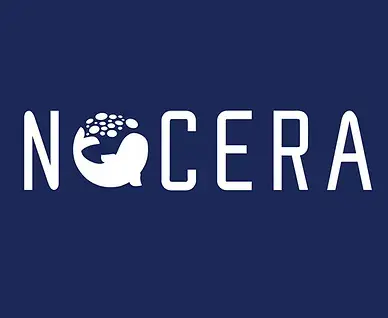 Nocera, Inc. Partners with Tech Innovator Tachyonext Following Explosive E-Commerce Growth