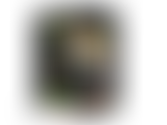 Nocera, Inc. and VIE Meixin Institutional Food Development Co. Ltd. Enter into Distribution Agreemen