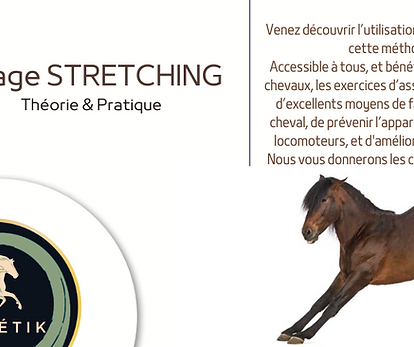 Visuel STRETCHING CHEVAL