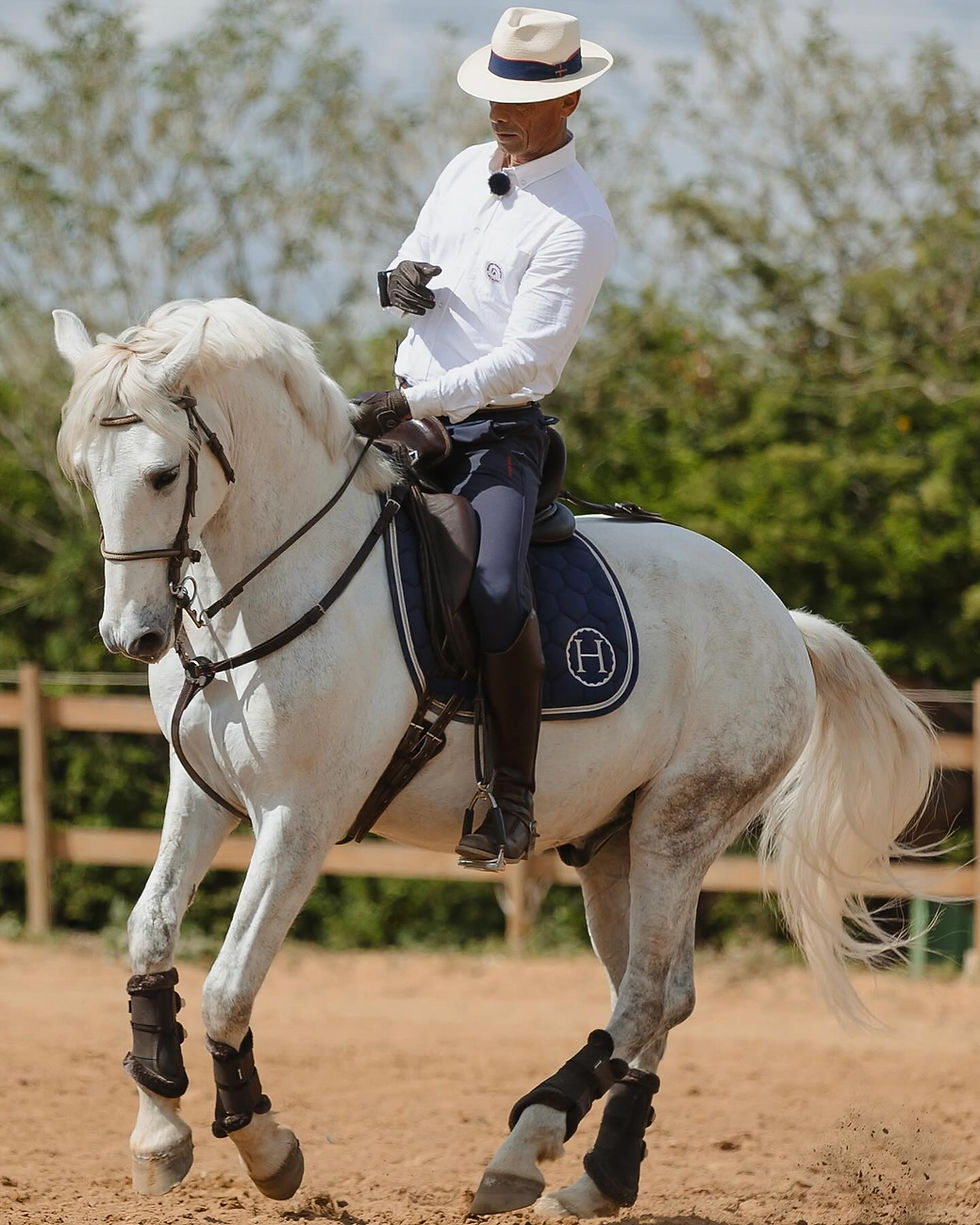 Stage d'équitation de travail avec Hervé Maurel