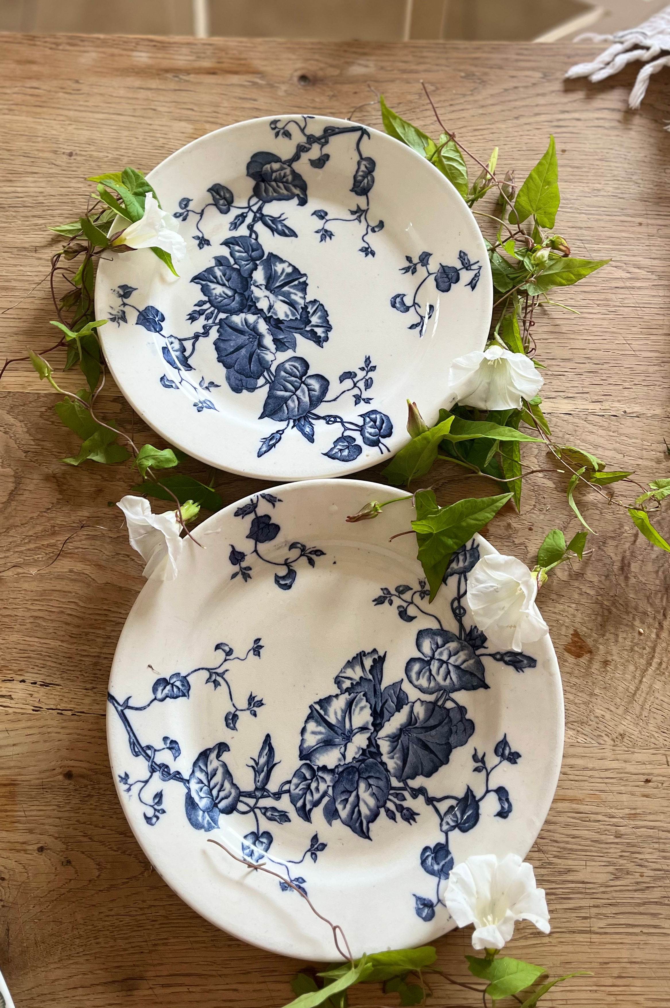 2 assiettes terre de fer Nimy liberon