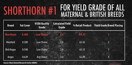 Shorthorn cattle ranking #1 for yield grade among maternal and British breeds, showing comparisons of fat cover, retail produ