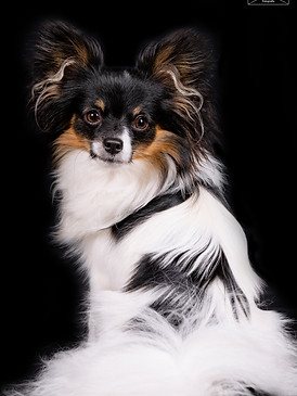 728A9182.jpg