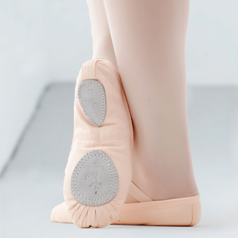 Miniaturbild: Ballettschuhe - Takuya