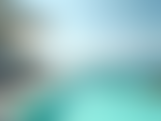 Discover the Charm of Mauritius Beach Villas