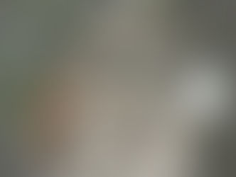 La enseñanza de la lechuza