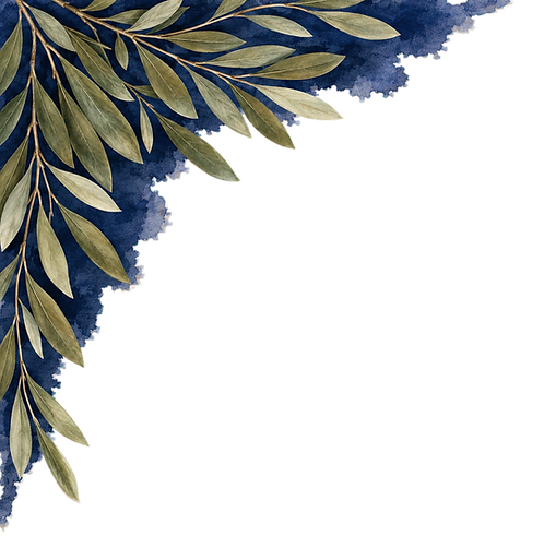 Olive Leaves Left Top Corner.png