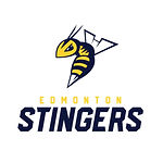 Stingers.jpg