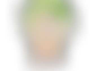 はじめまして