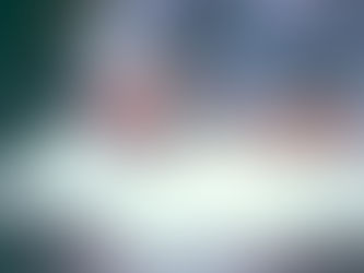 Our next project....