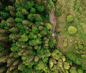 DJI_0876.jpg