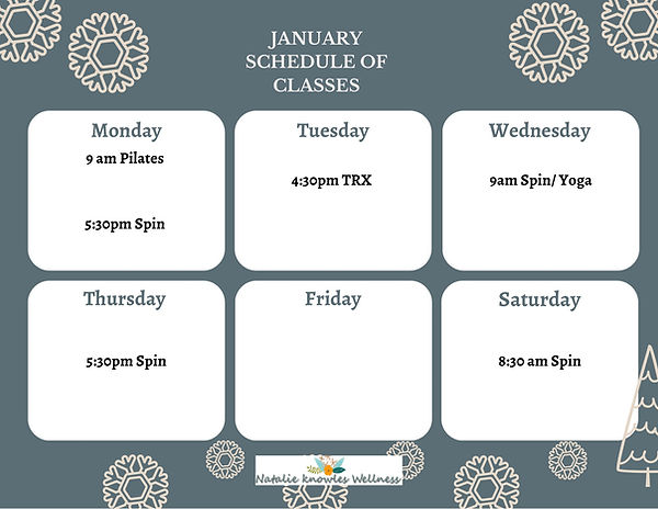 Pale Blue Beige Peaceful Winter Illustration Class Schedule.jpeg
