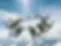SKYDIVING.webp