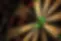 DARTS.jpeg