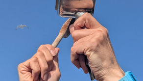  "Empty Pot Protest": Hastings Jews refuse silence in the face of Israeli starvation of Gaza