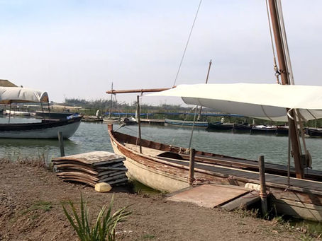 La Albufera, la joya de València