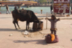 IMG_9326.jpeg