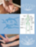 lymphatic drainage image for website_edited.jpg