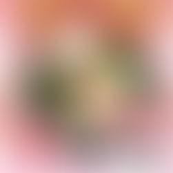 復刻！梅極み鶏🌸本日からです！