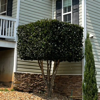 myown landscaping