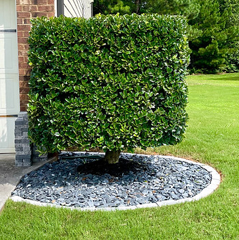myOWN Landscaping