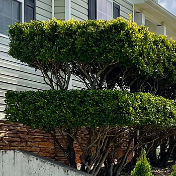 myown landscaping