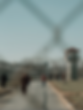 Screen Shot 2024-08-23 at 10.16.14 AM.png