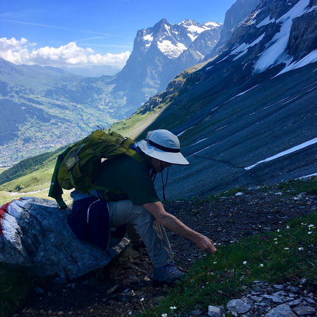 JUST A SLUG in the sunshine