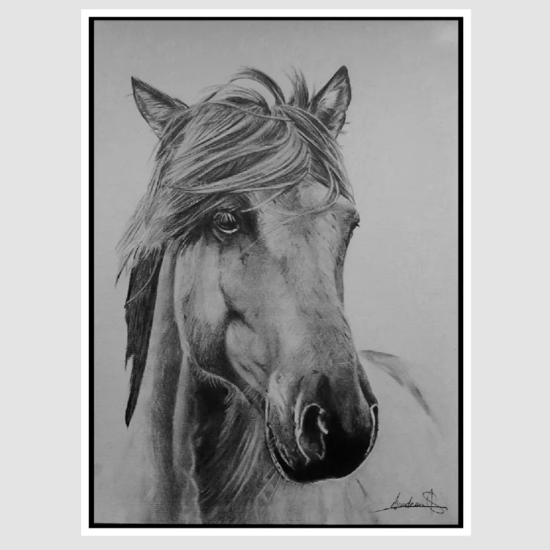 Caballo a lápiz 