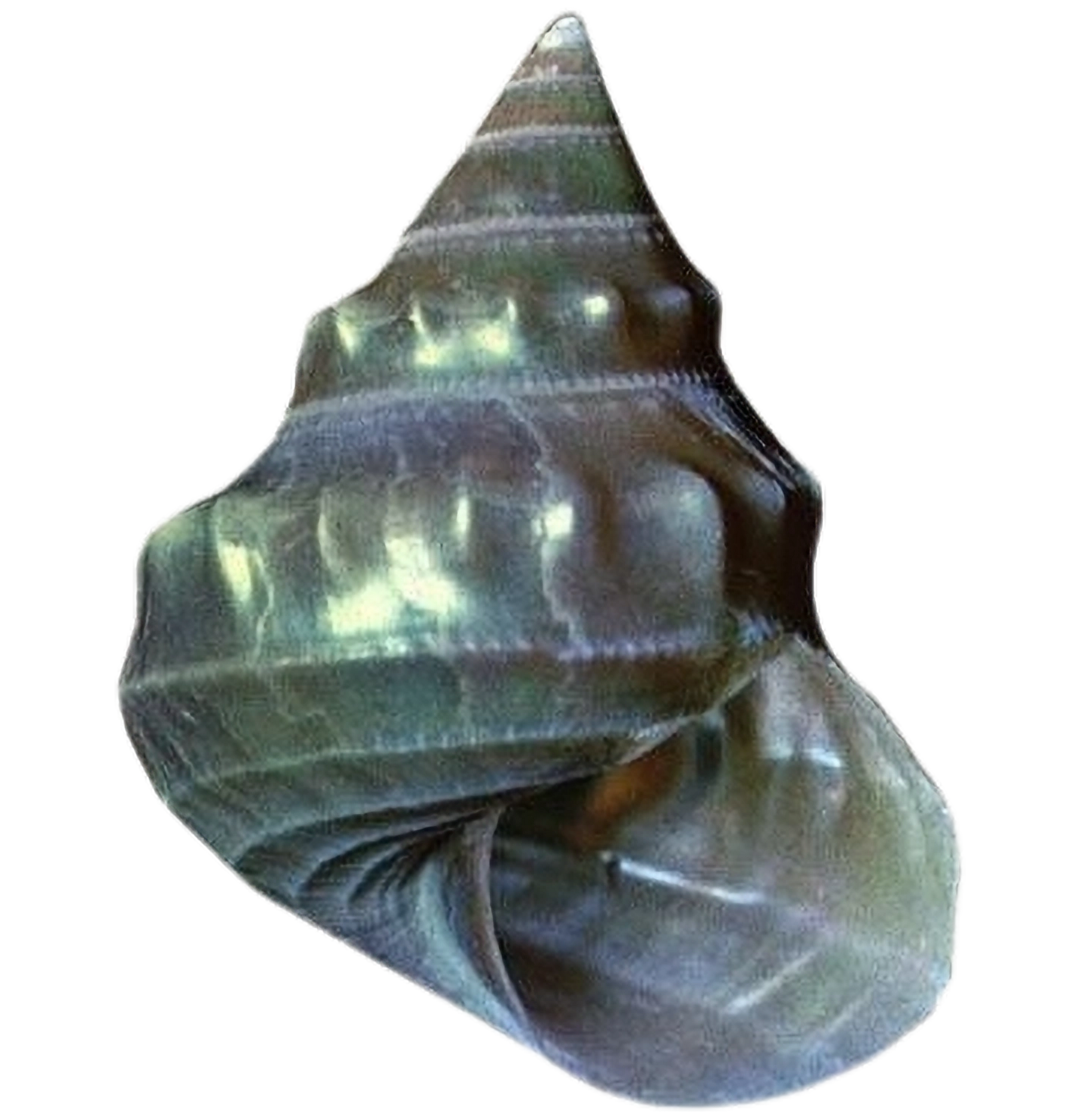 ⋆.𐙚Tarot Reading⋆𝜗𝜚˚