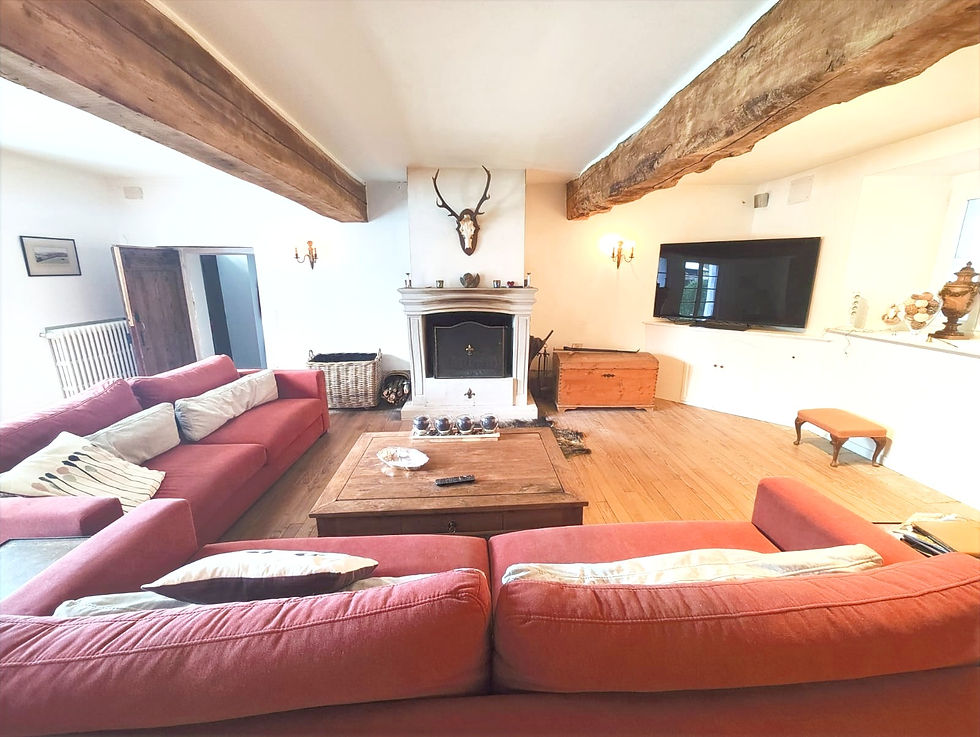 Salon 2 avec canapés, TV et cheminée