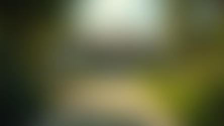 Sistemas de Riego: Mejora la Eficiencia de Tu Jardín